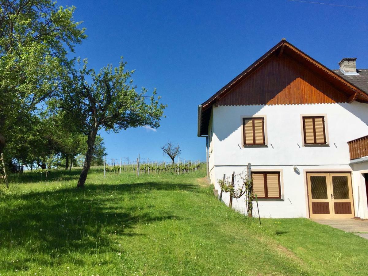 Urlaub Im Weingarten Winten  Exteriér fotografie