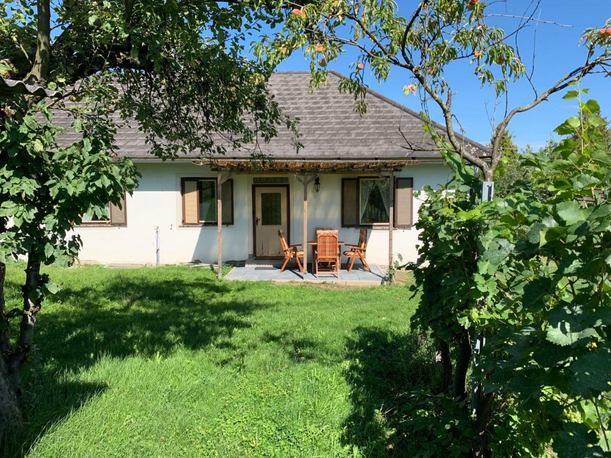 Urlaub Im Weingarten Winten  Exteriér fotografie