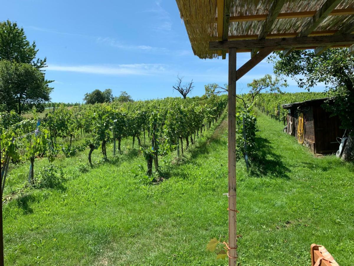 Urlaub Im Weingarten Winten  Exteriér fotografie