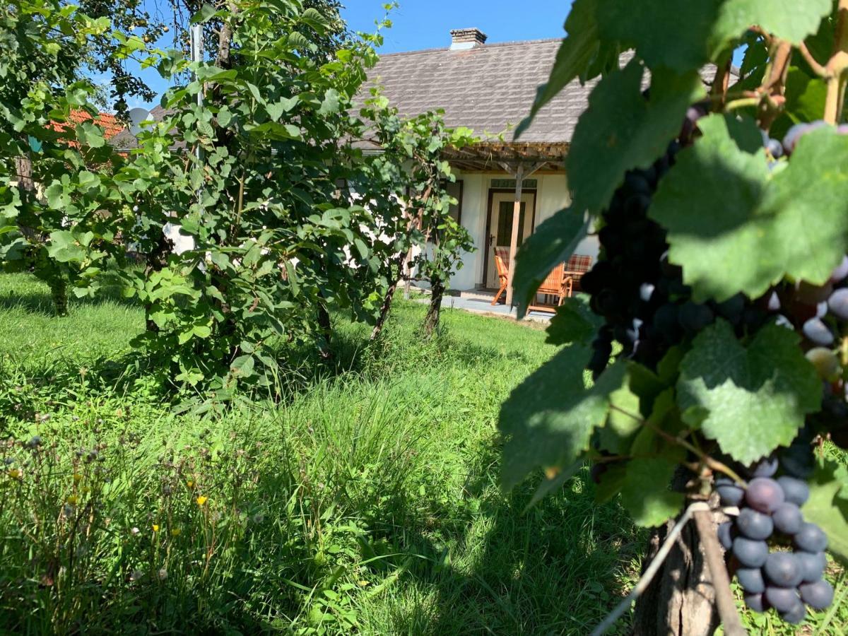 Urlaub Im Weingarten Winten  Exteriér fotografie