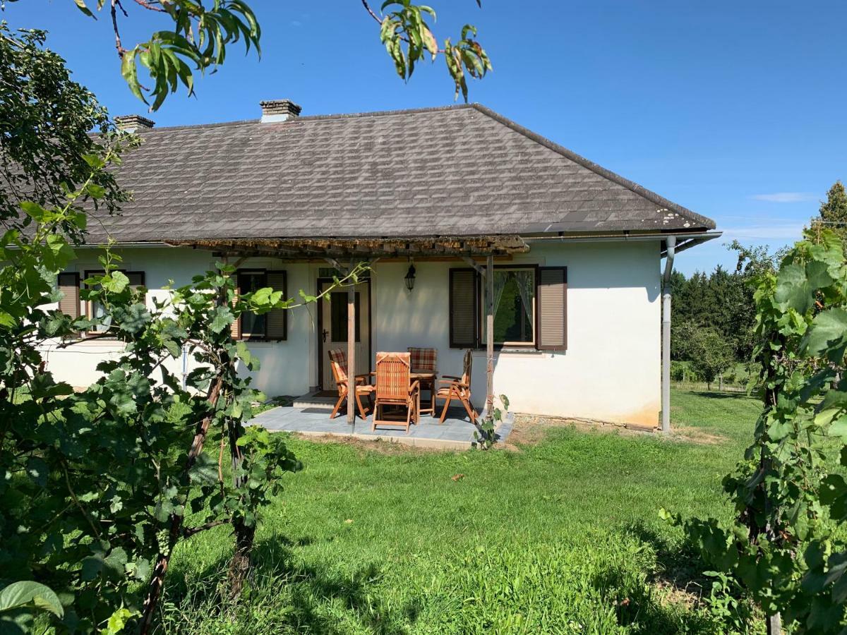 Urlaub Im Weingarten Winten  Exteriér fotografie